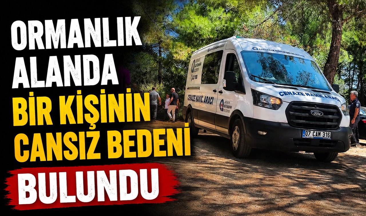 Ormanlık alanda bir kişinin cansız bedeni bulundu