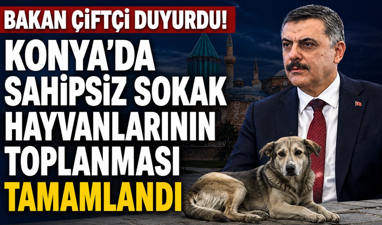 Bakan Çiftçi duyurdu! Konya’da sahipsiz sokak hayvanların toplanması tamamlandı