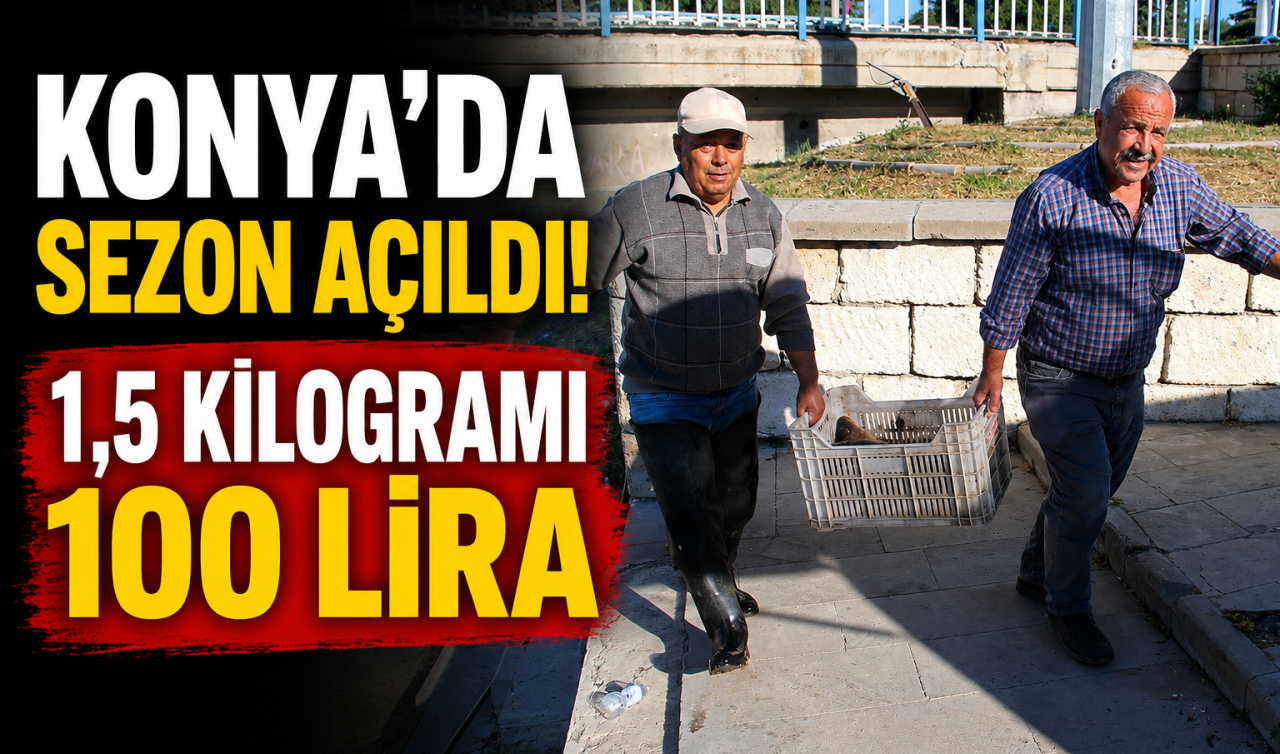 Konya’da sezon açıldı! 1,5 kilogramı 100 lira 