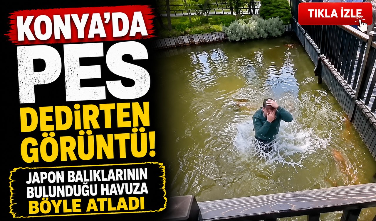 Konya’da pes dedirten görüntü! Japon balıklarının bulunduğu havuza böyle atladı