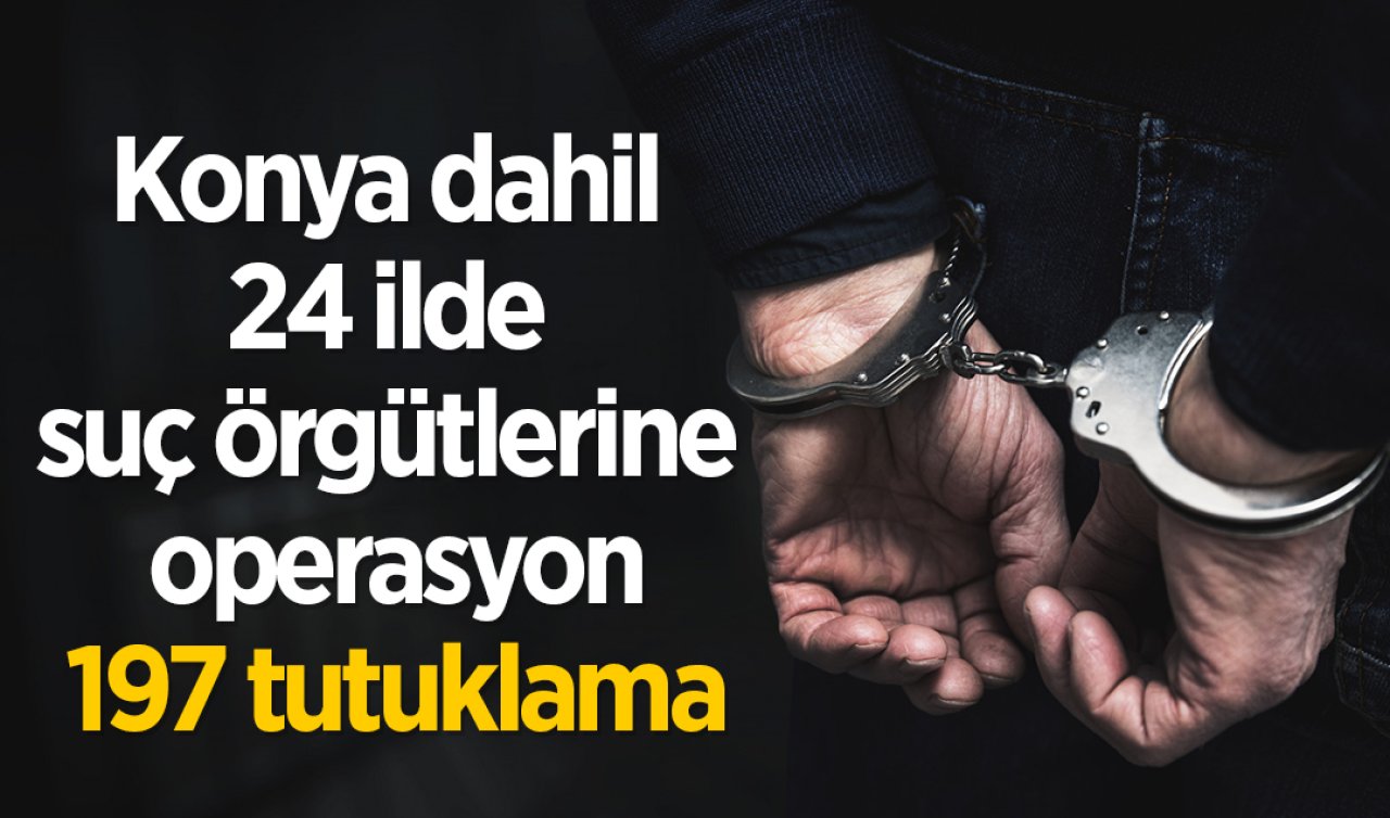 Konya dahil 24 ilde suç örgütlerine operasyon: 313 gözaltı