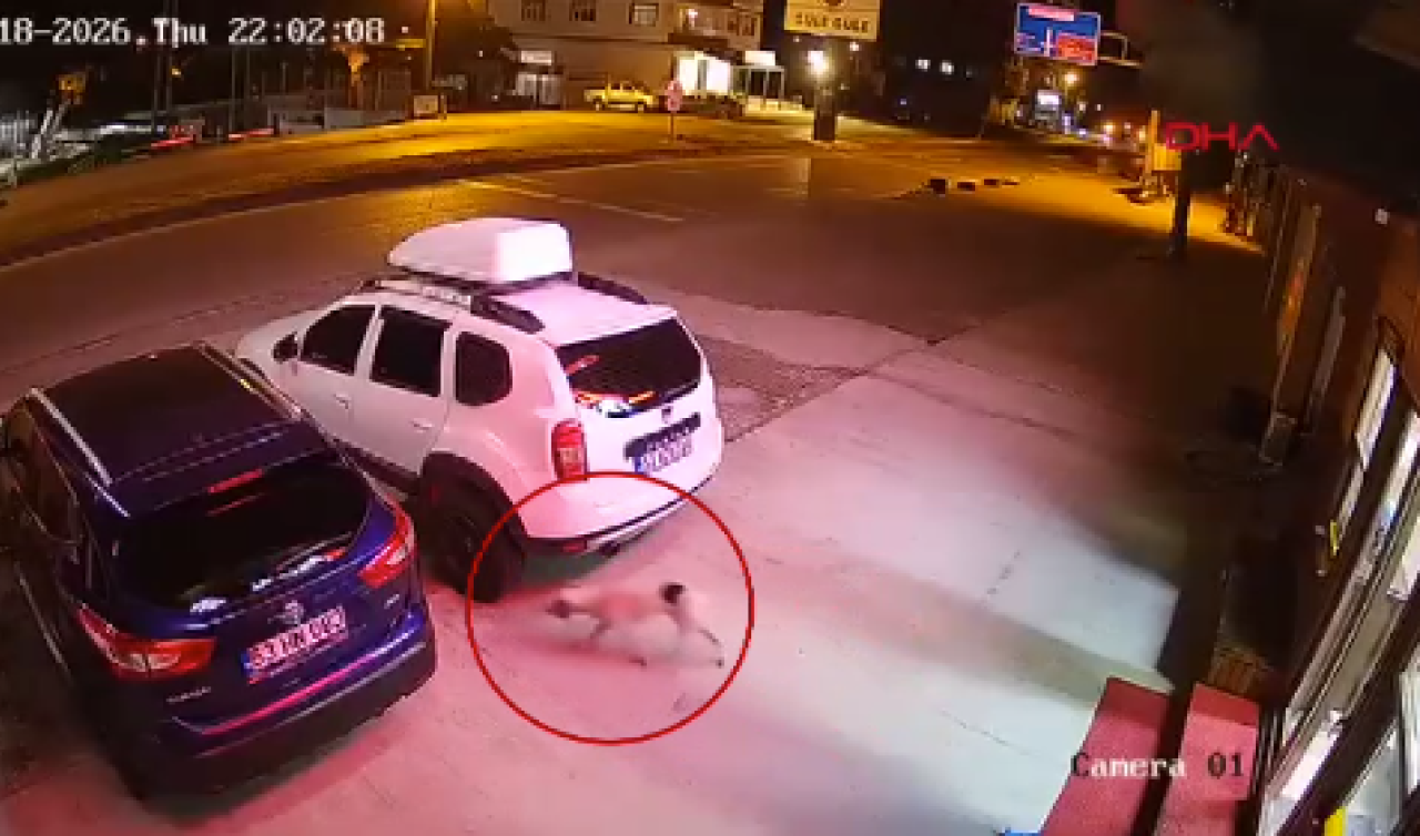 Başıboş köpeğe çarpmamak için manevra yapan ATV sürücüsü hayatını kaybetti