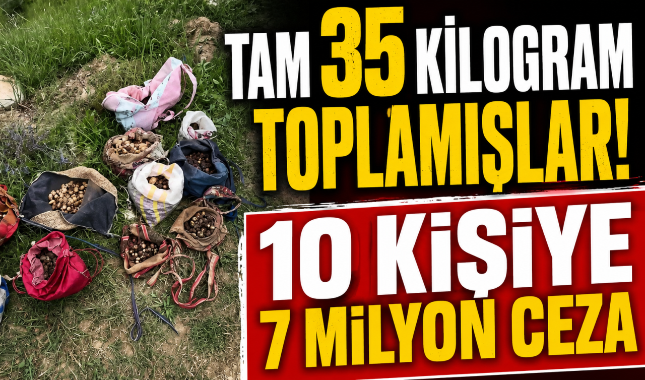 Tam 35 kilogram toplamışlar! 10 kişiye 7 milyon ceza