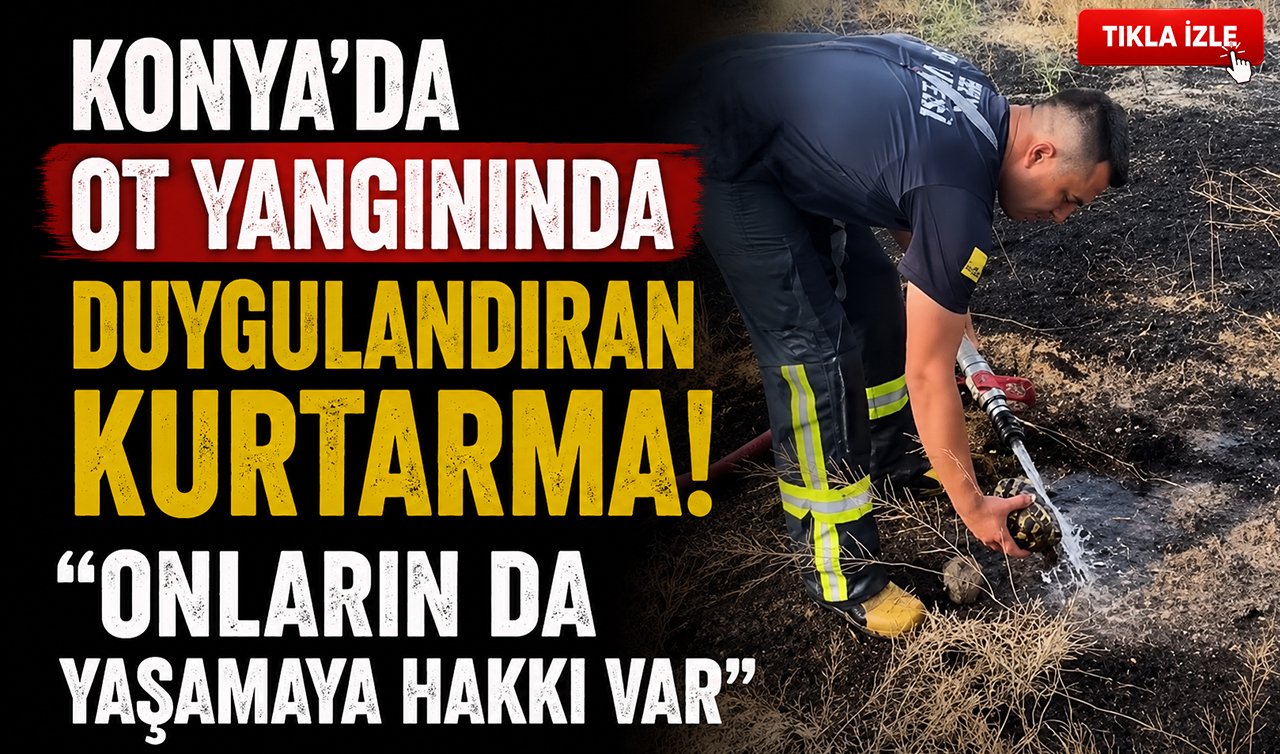 Konya’da ot yangınında duygulandıran kurtarma! “Onların da yaşamaya hakkı var’’