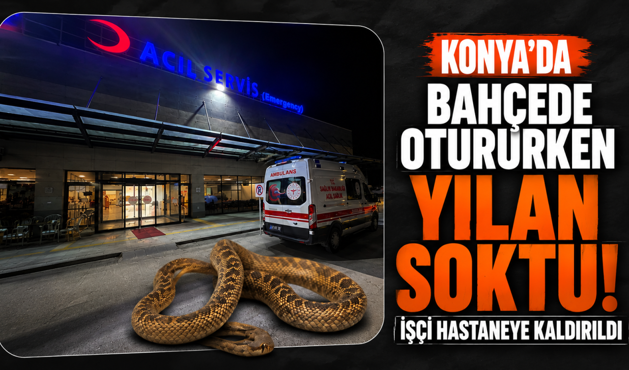 Konya’da bahçede otururken yılan soktu! İşçi hastaneye kaldırıldı