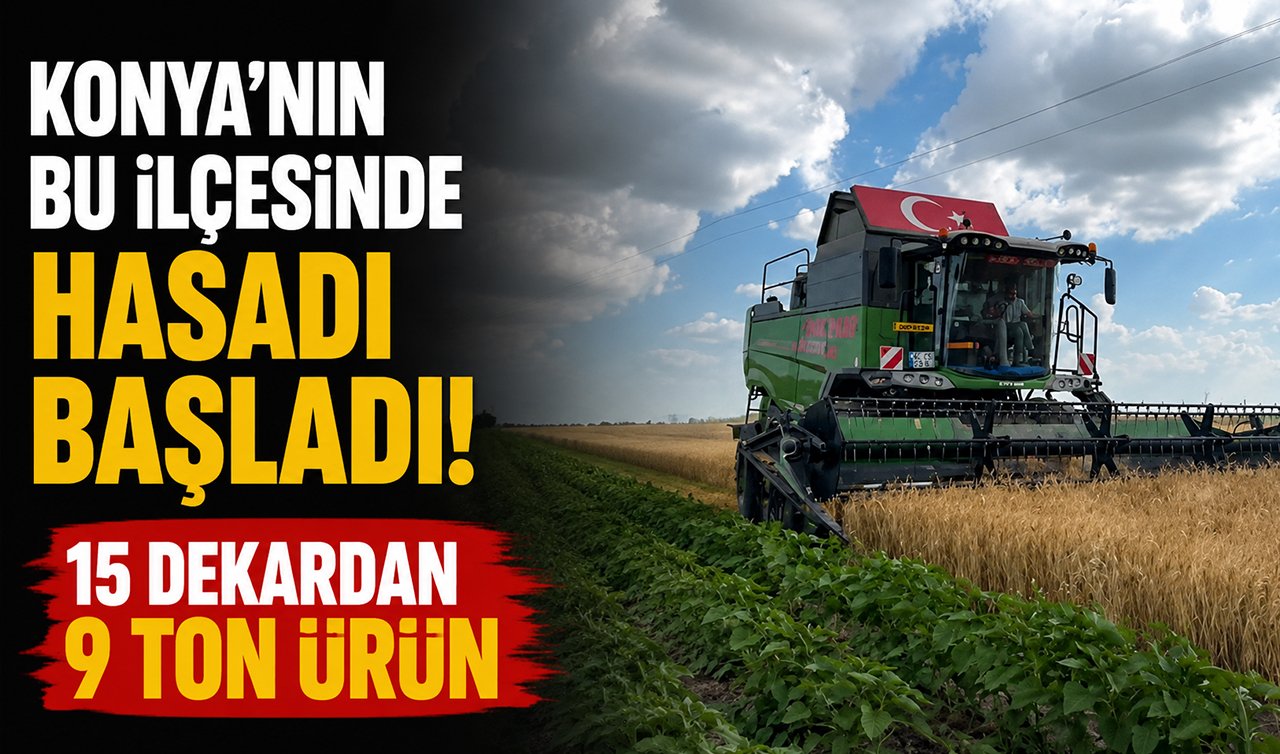 Konya’nın bu ilçesinde hasadı başladı! 15 dekardan 9 ton ürün