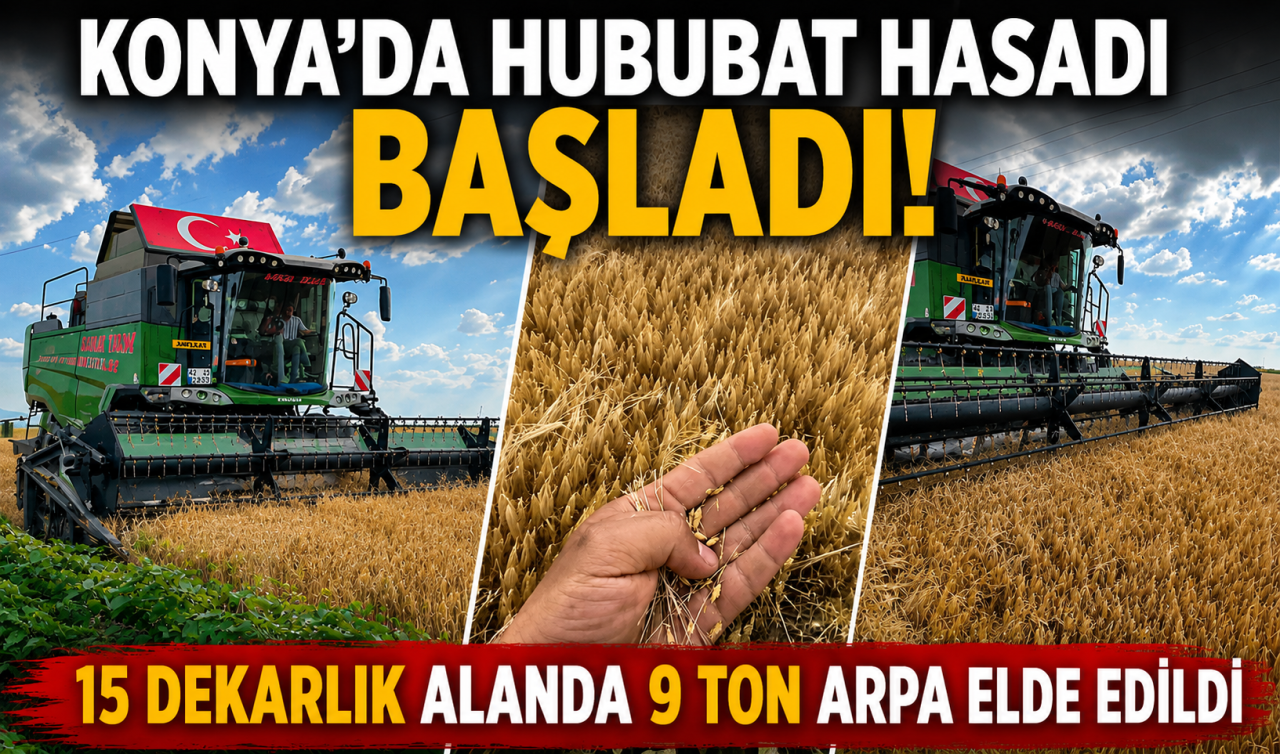 Konya’da hububat hasadı başladı! 15 dekarlık alanda 9 ton arpa elde edildi 
