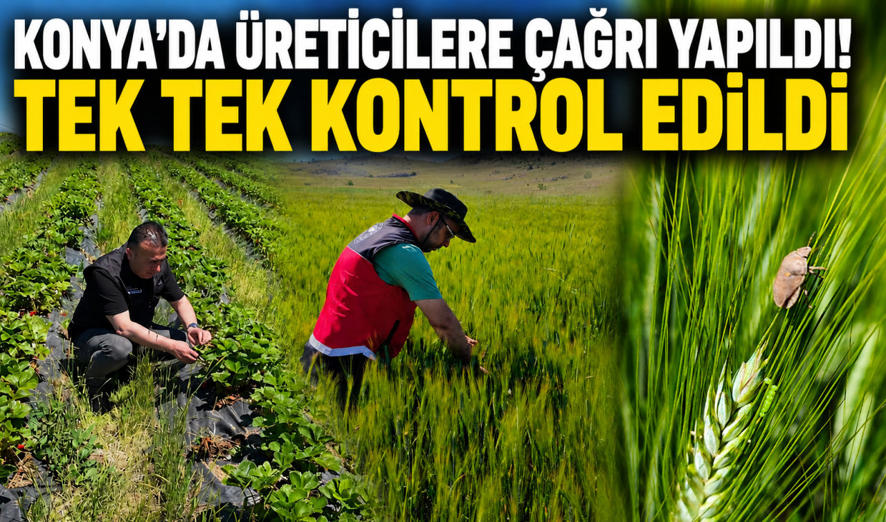 Konya’da üreticilere çağrı yapıldı! Tek tek kontrol edildi 