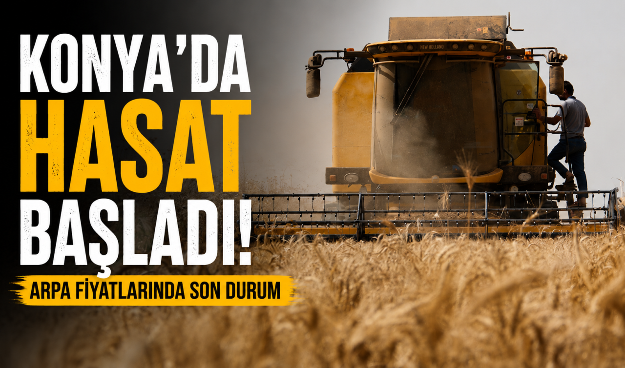 Konya’da hasat başladı! Arpa fiyatlarında son durum