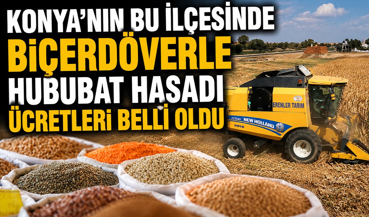 Konya’nın bu ilçesinde biçerdöverle hububat hasadı ücretleri belli oldu