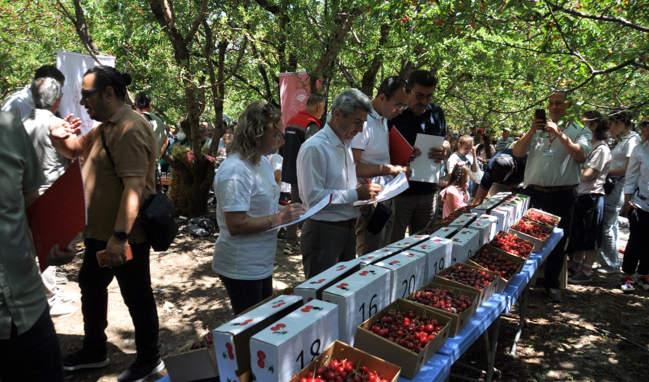 Akşehir’de kiraz hasadı şenliği yapıldı