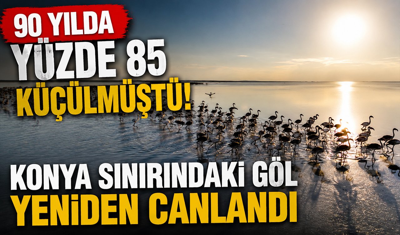 90 yılda yüzde 85 küçülmüştü! Konya sınırındaki göl yeniden canlandı