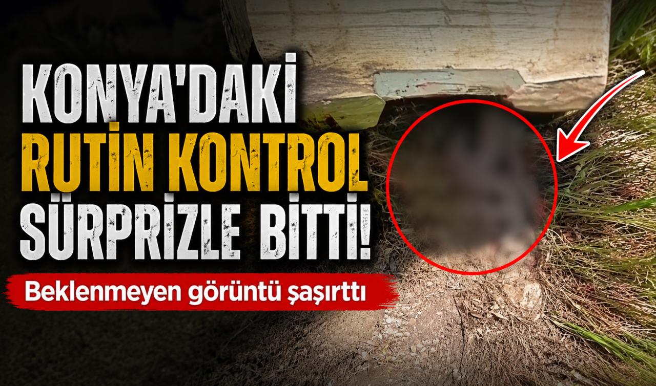 Konya’daki rutin kontrol sürprizle bitti! Beklenmeyen görüntü şaşırttı 
