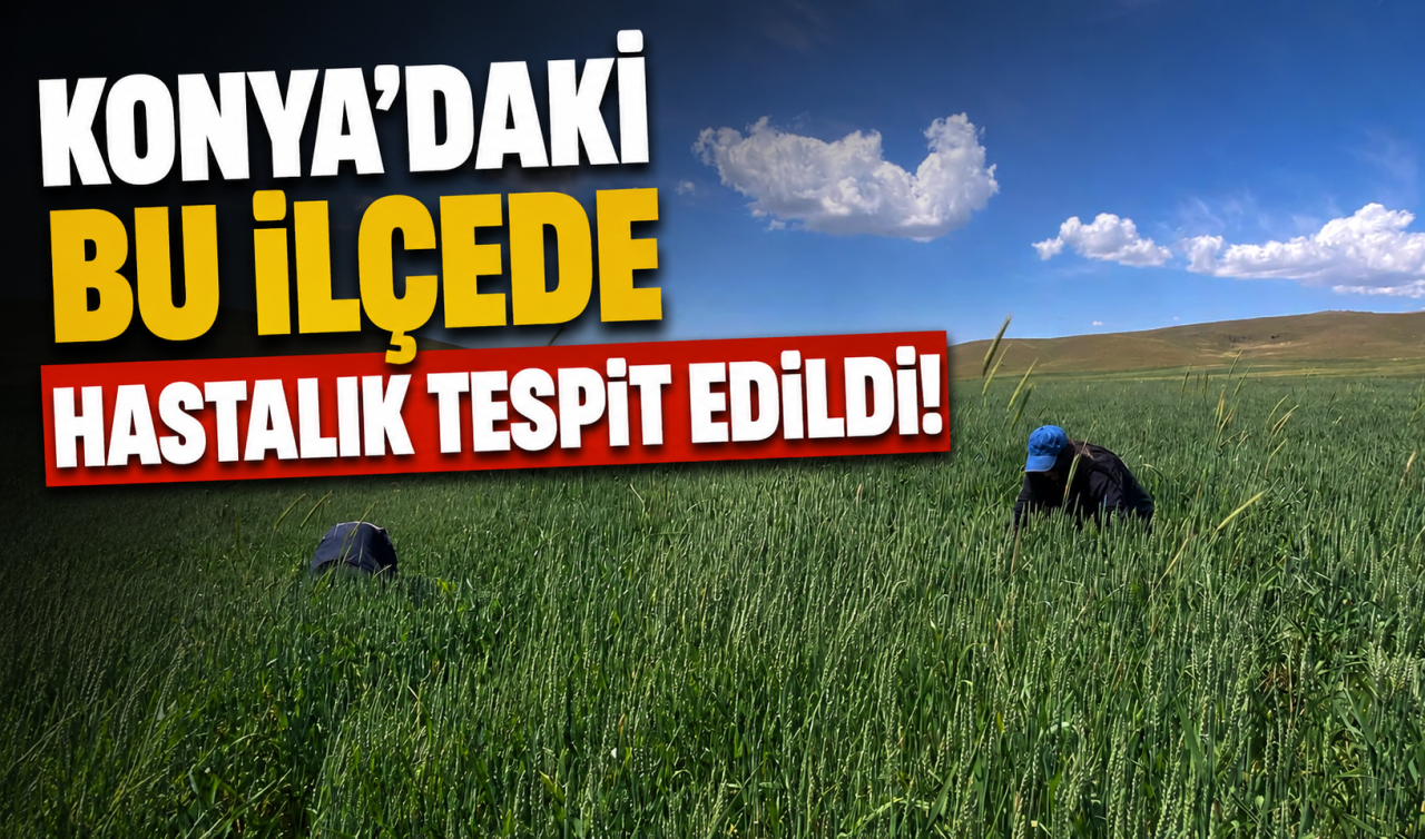Konya’daki bu ilçede hastalık tespit edildi! 
