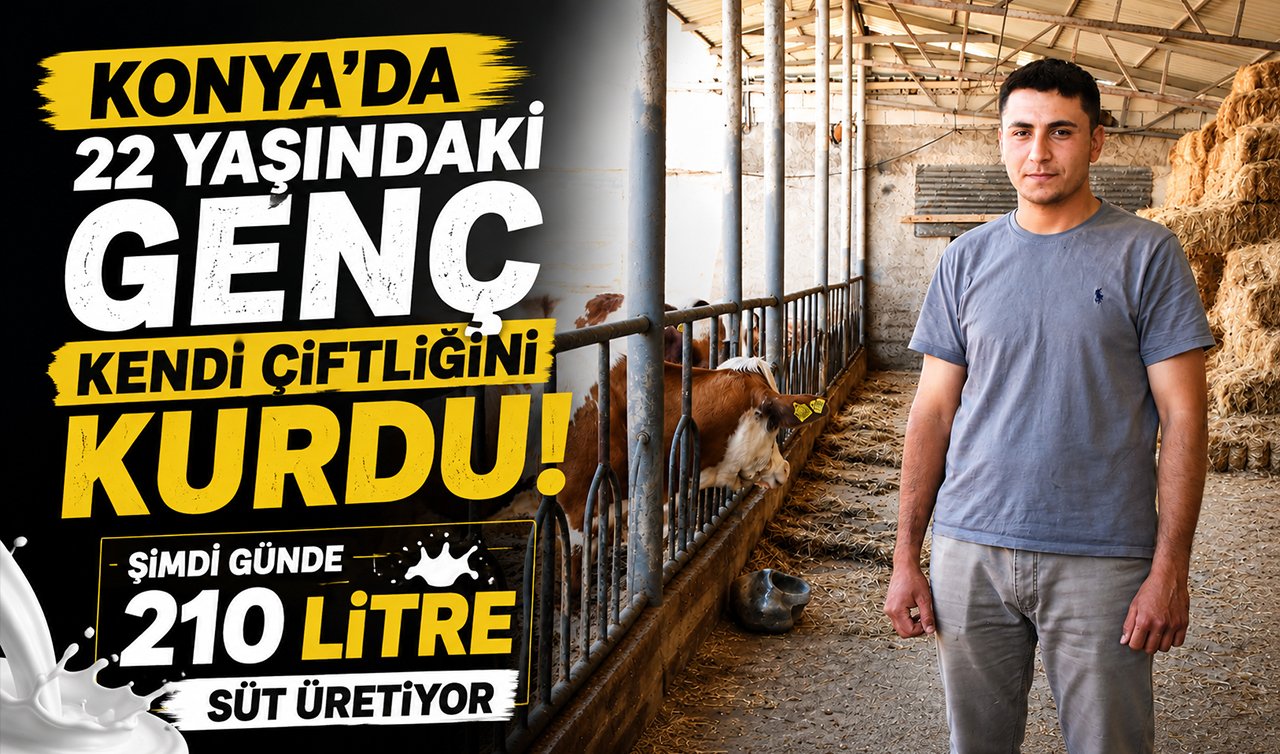 Konya’da 22 yaşındaki genç kendi çiftliğini kurdu! Şimdi günde 210 litre süt üretiyor