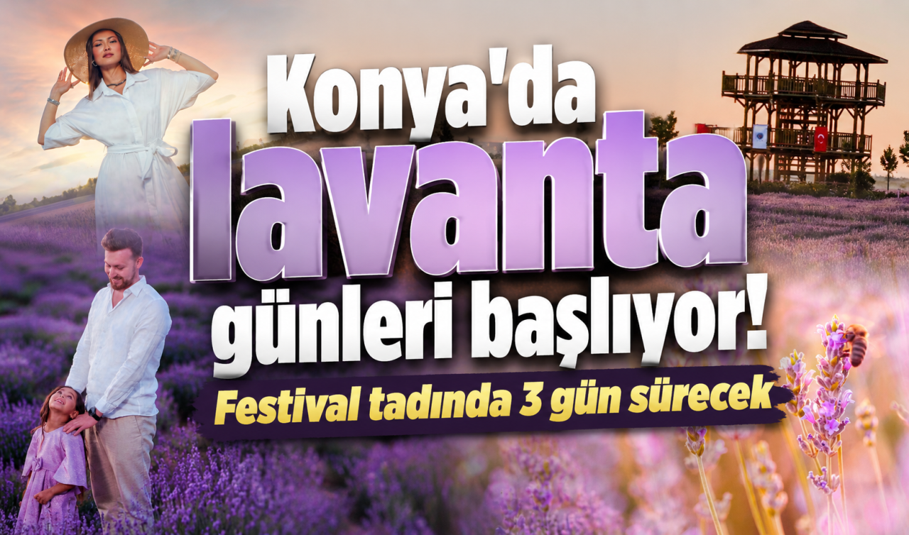 Konya’da lavanta günleri başlıyor! Festival tadında 3 gün sürecek 