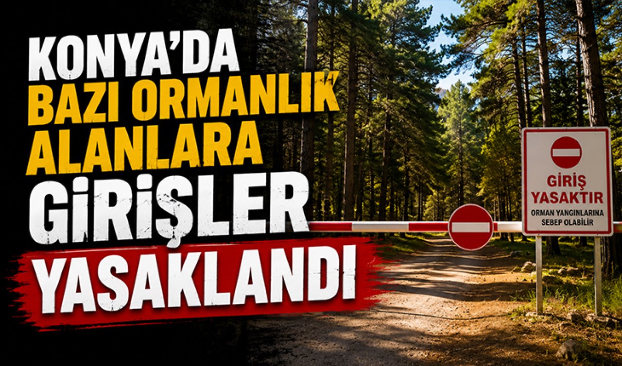 Konya’da bazı ormanlık alanlara girişler yasaklandı!