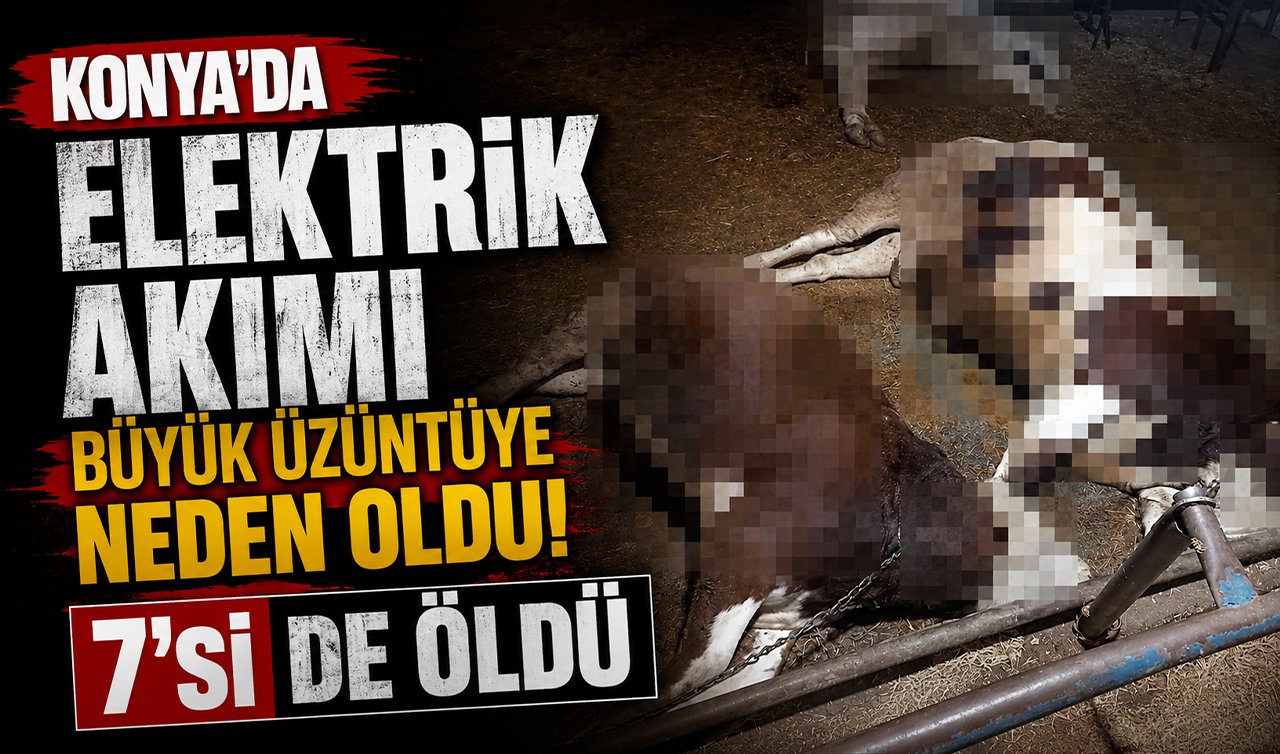 Konya’da elektrik akımı büyük üzüntüye neden oldu! 7’si de öldü