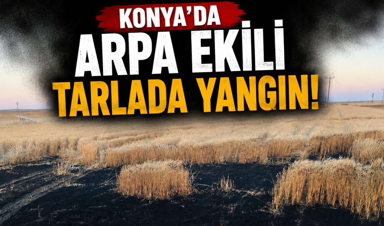Konya’da arpa ekili tarlada yangın!