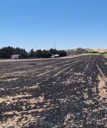 Elektrik direği kesimi sırasında yangın: Ekili araziler zarar gördü