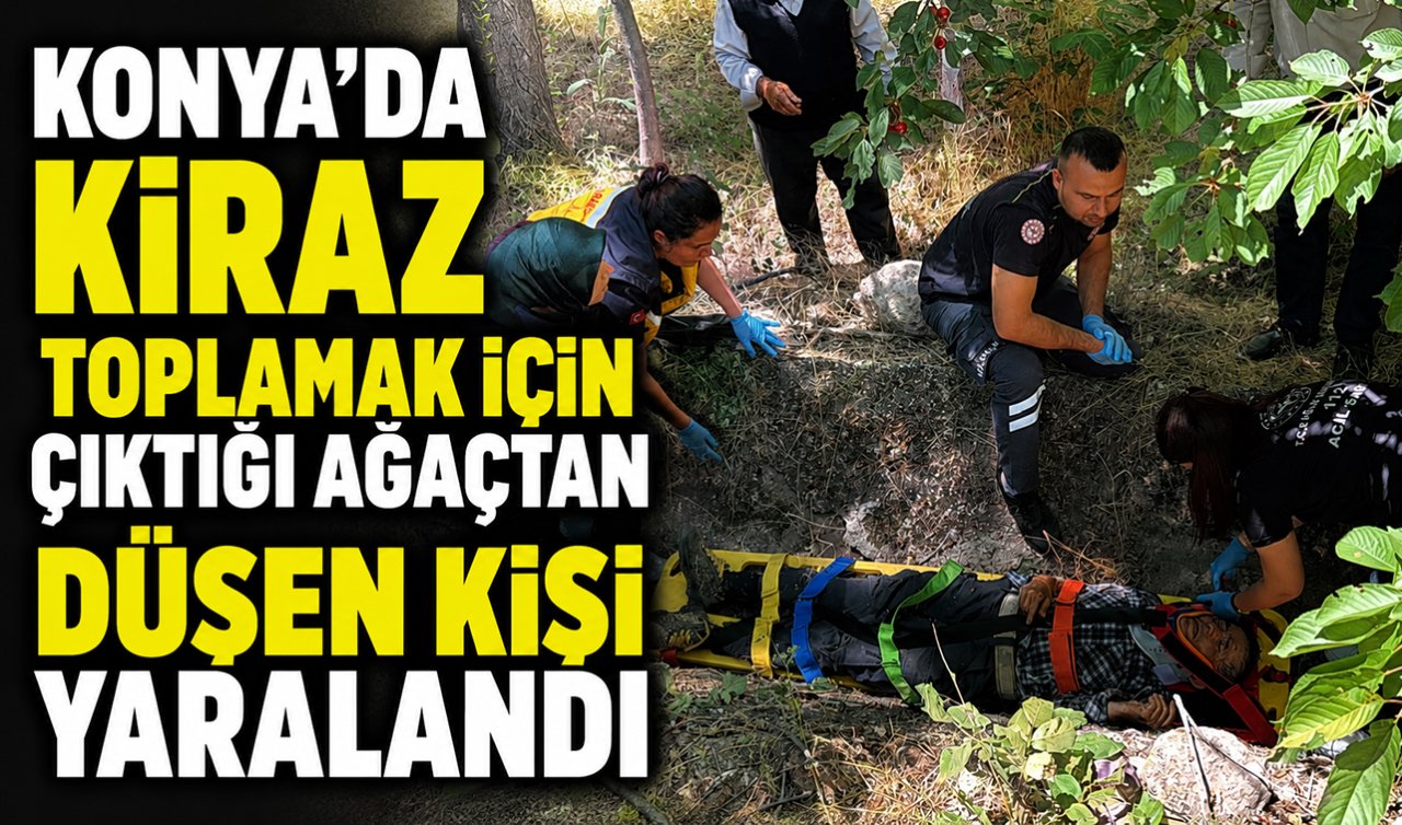 Konya’da kiraz toplamak için çıktığı ağaçtan düşen kişi yaralandı