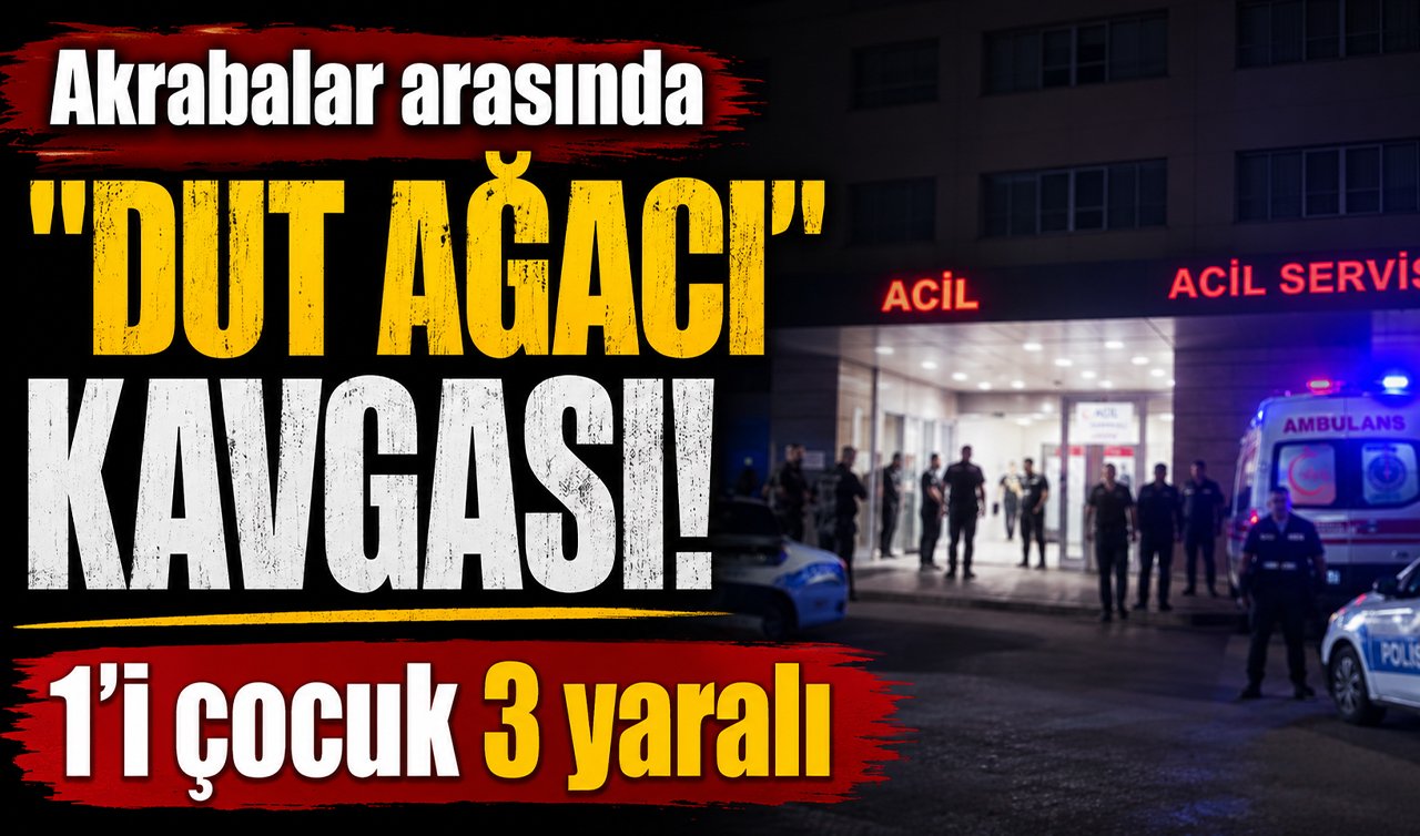 Akrabalar arasında “dut ağacı’’ kavgası: 1’i çocuk 3 yaralı
