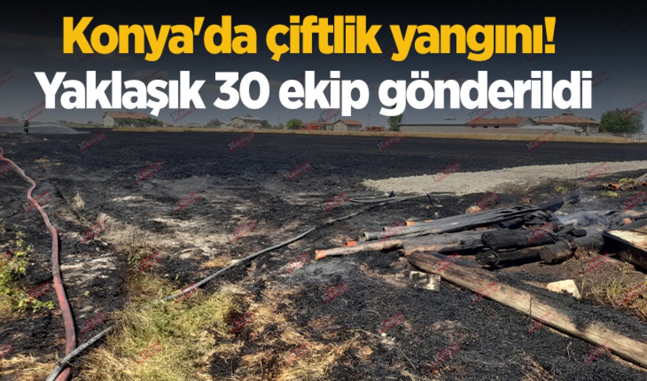 Konya’da çiftlik yangını! Yaklaşık 30 ekip gönderildi