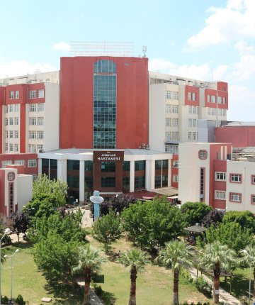Zakkum çiçeği bitkisi yedi hastaneye kaldırıldı