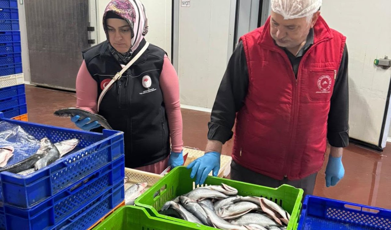 Hüyük’te su ürünleri tesislerine sıkı denetim 
