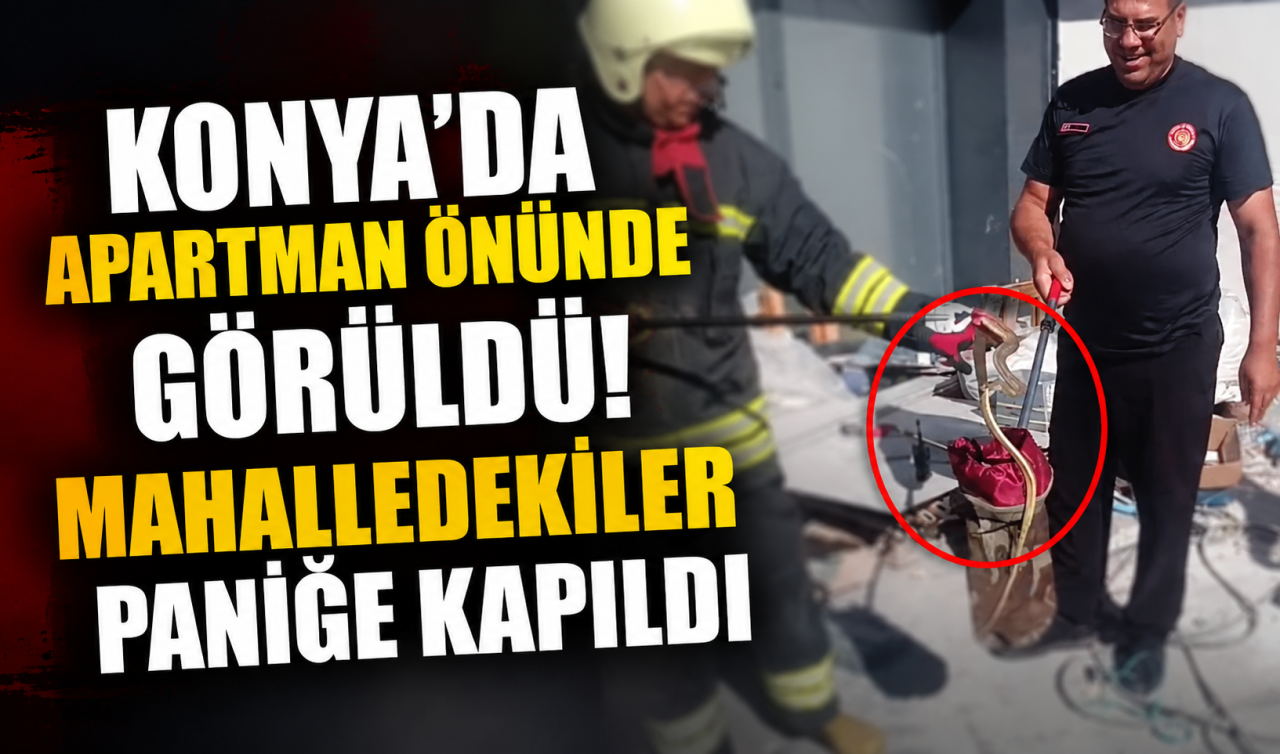 Konya’da apartman önünde görüldü! Mahalledekiler paniğe kapıldı