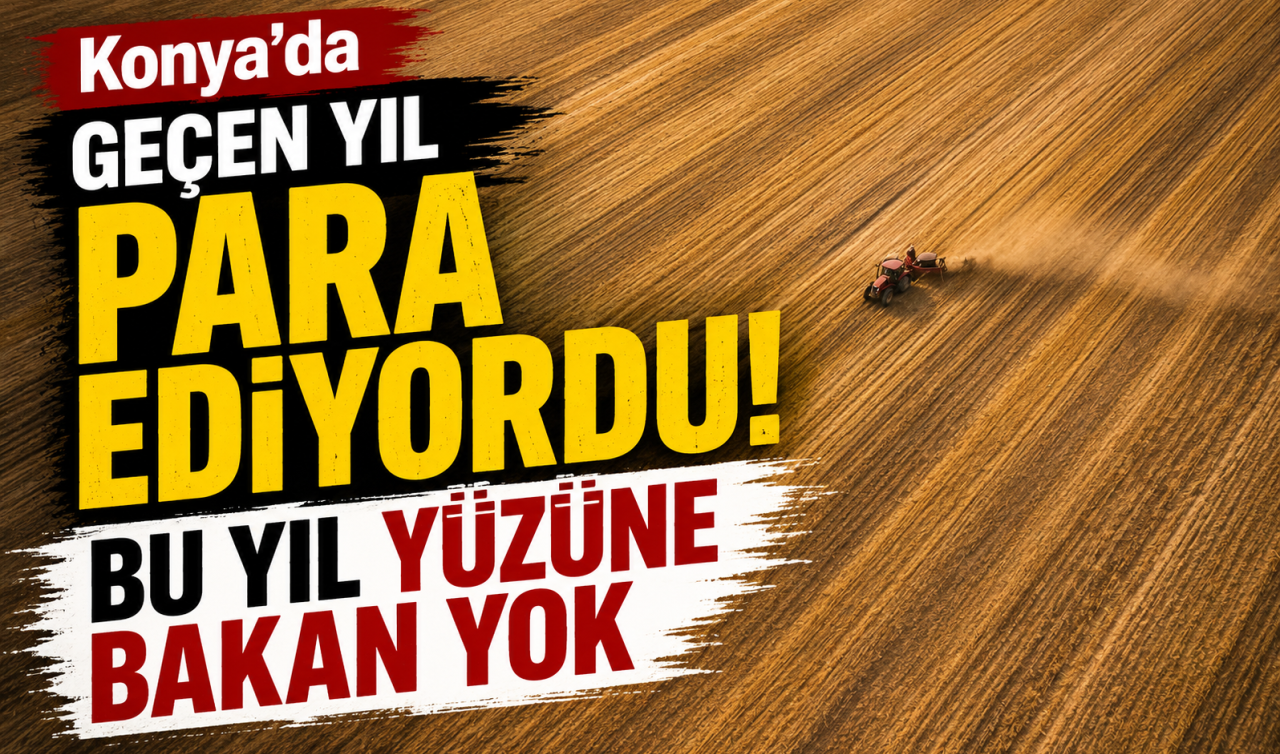 Konya’da geçen yıl para ediyordu! Bu yıl yüzüne bakan yok