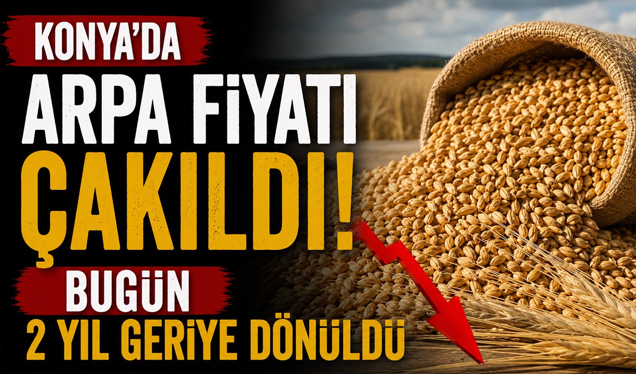 Konya’da arpa fiyatı çakıldı! Bugün 2 yıl geriye dönüldü
