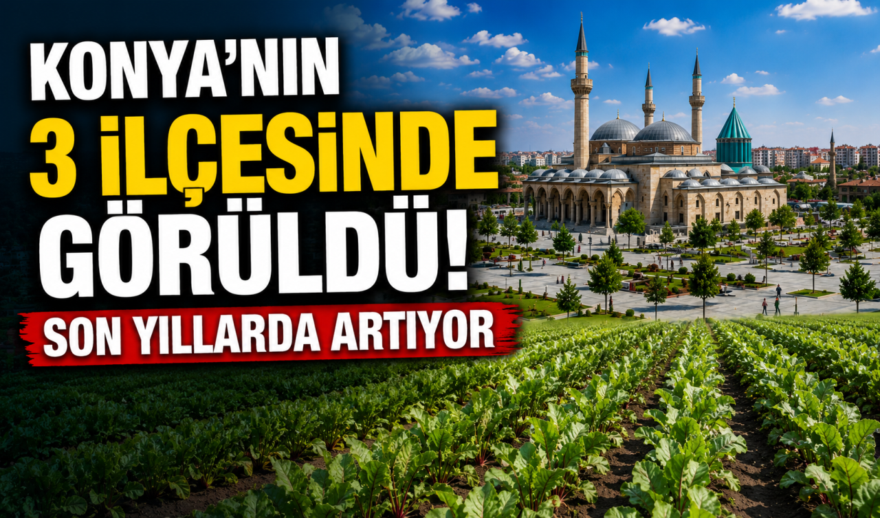Konya’nın 3 ilçesinde görüldü! Son yıllarda artıyor 