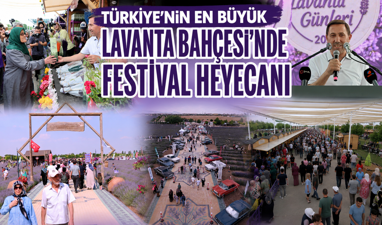 Türkiye’nin En Büyük Lavanta Bahçesi’nde festival heyecanı 
