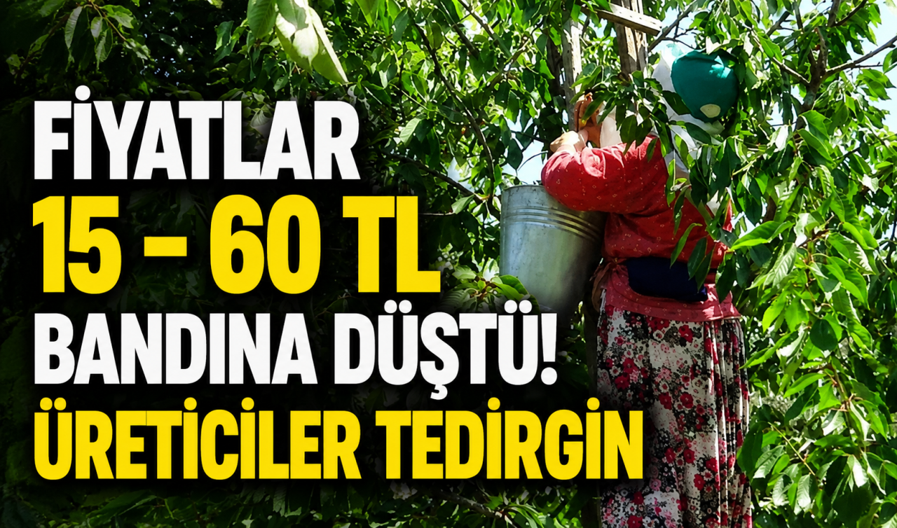 Fiyatlar 15 - 60 TL bandına düştü! Üreticiler tedirgin