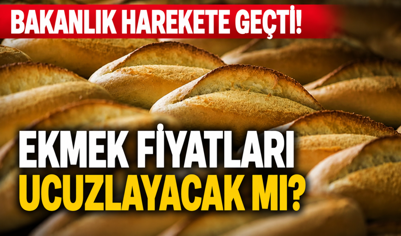 Bakanlık harekete geçti! Ekmek fiyatları ucuzlayacak mı? 