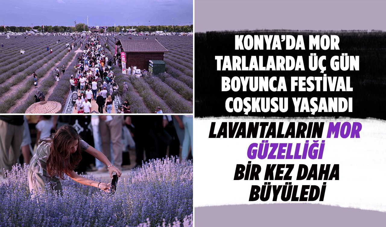 Konya’da mor tarlalarda üç gün boyunca festival coşkusu yaşandı! 
