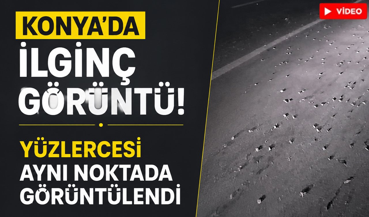 Konya’da ilginç görüntü! Yüzlercesi aynı noktada görüntülendi
