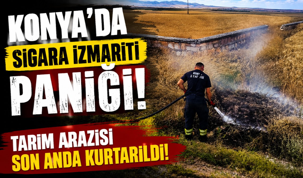 Konya’da sigara izmariti paniği! Tarım arazisi son anda kurtarıldı