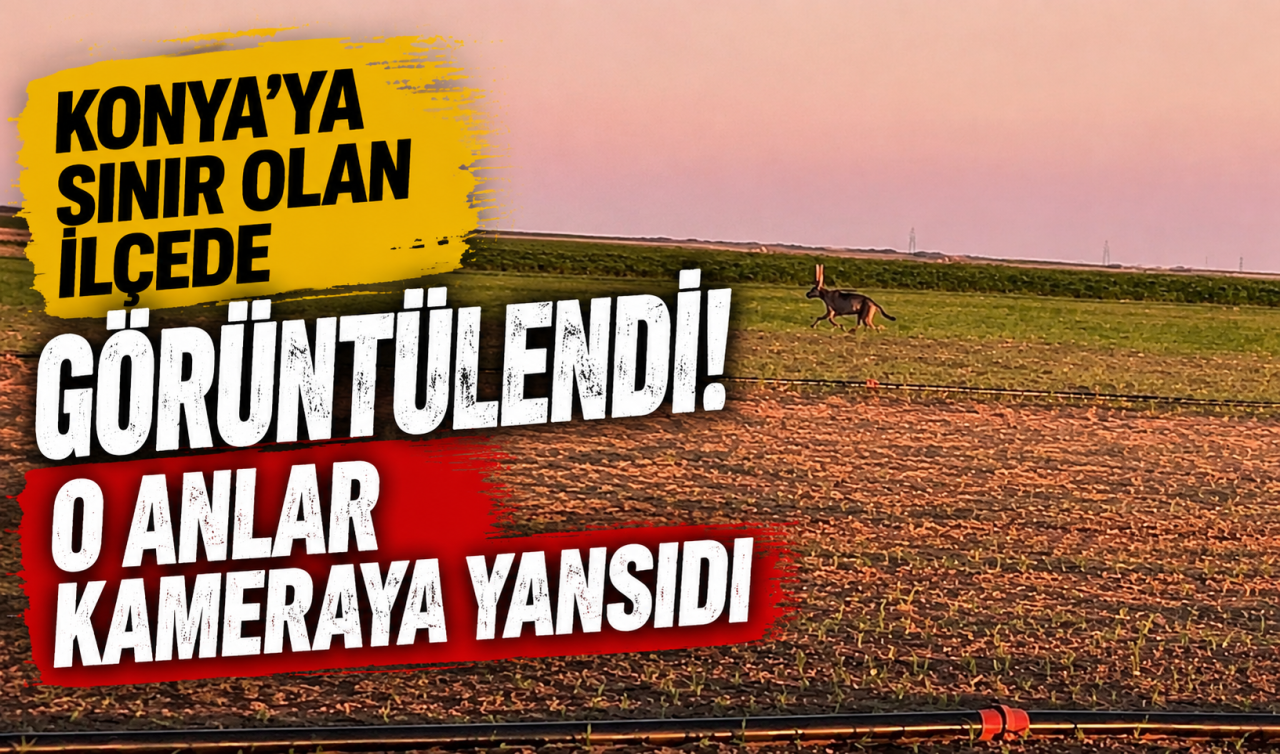 Konya’ya sınır olan ilçede görüntülendi! O anlar kameraya yansıdı