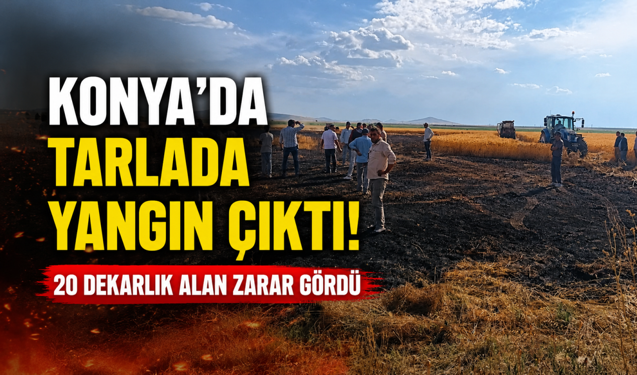 Konya’da tarlada yangın çıktı! 20 dekarlık alan zarar gördü 