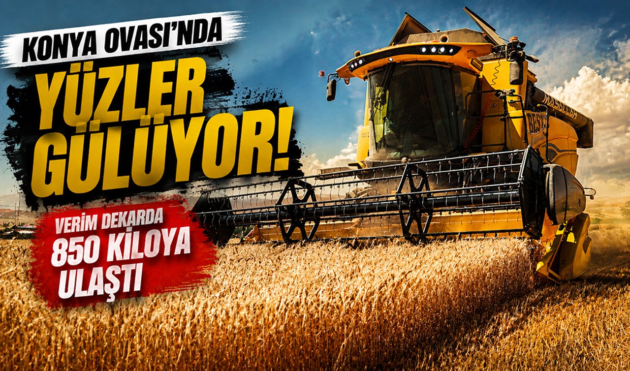 Konya Ovası’nda yüzler gülüyor! Verim dekarda 850 kiloya ulaştı