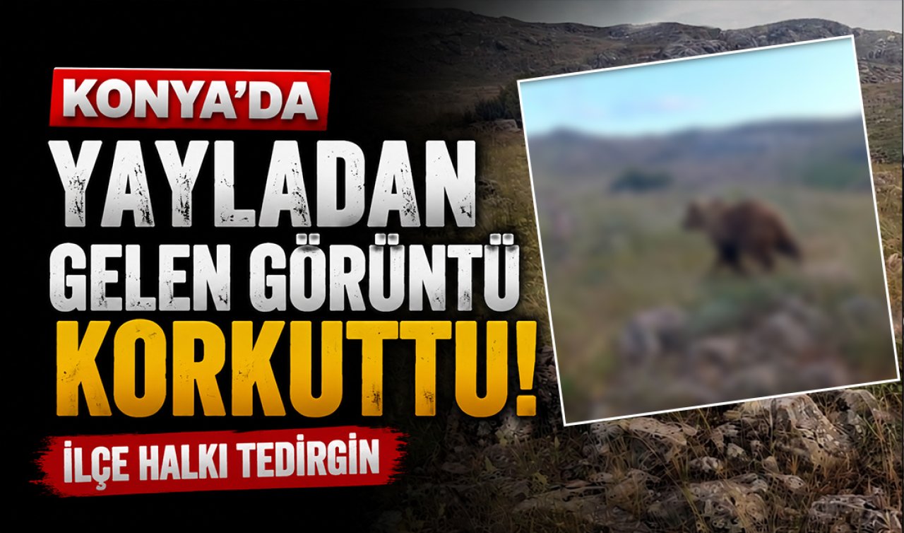 Konya’da yayladan gelen görüntü korkuttu! İlçe halkı tedirgin