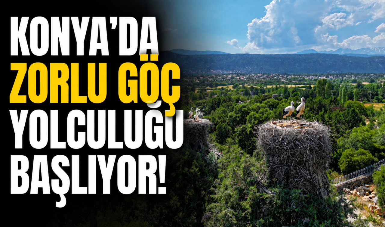 Konya’da zorlu göç yolculuğu başlıyor! 