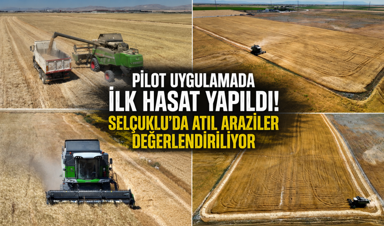 Pilot uygulamada ilk hasat yapıldı! Selçuklu’da atıl araziler değerlendiriliyor 