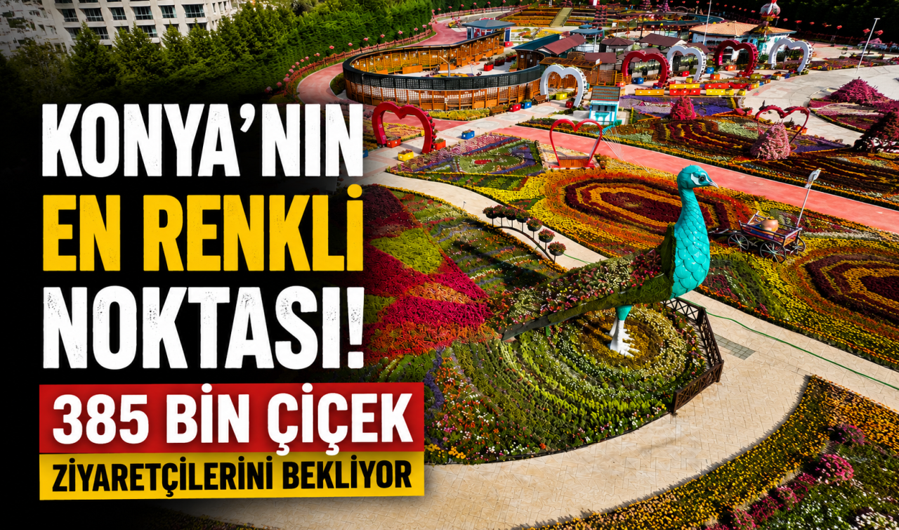 Konya’nın en renkli noktası! 385 bin çiçek ziyaretçilerini bekliyor