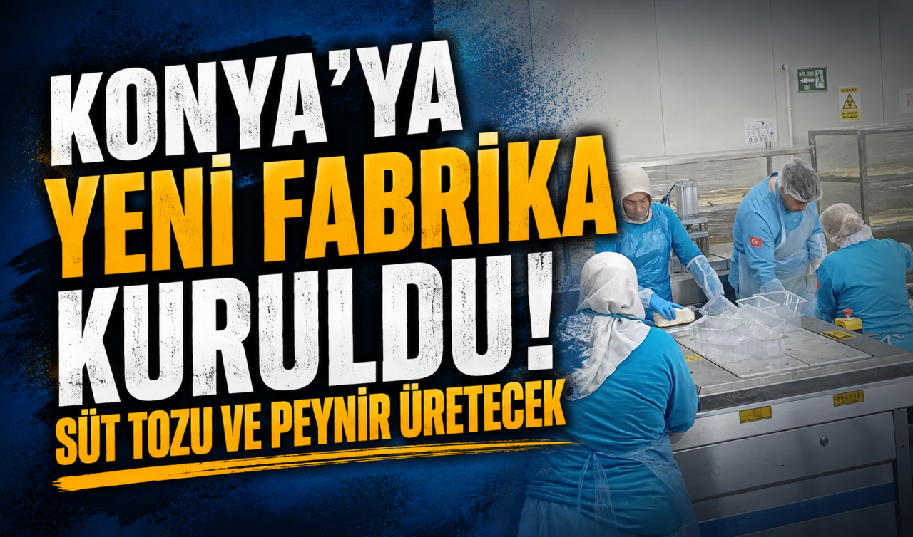 Konya’ya yeni fabrika kuruldu! Süt tozu ve peynir üretecek