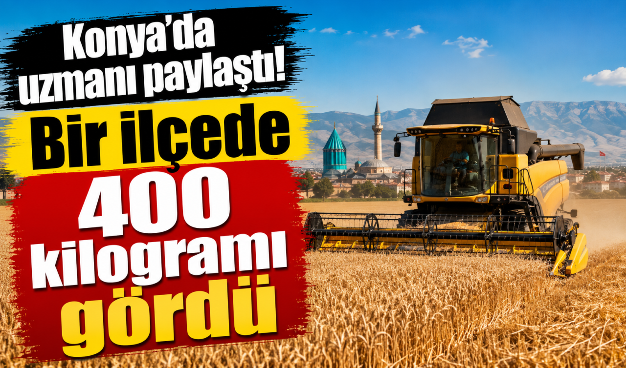 Konya’da uzmanı paylaştı! Bir ilçede 400 kilogramı gördü 