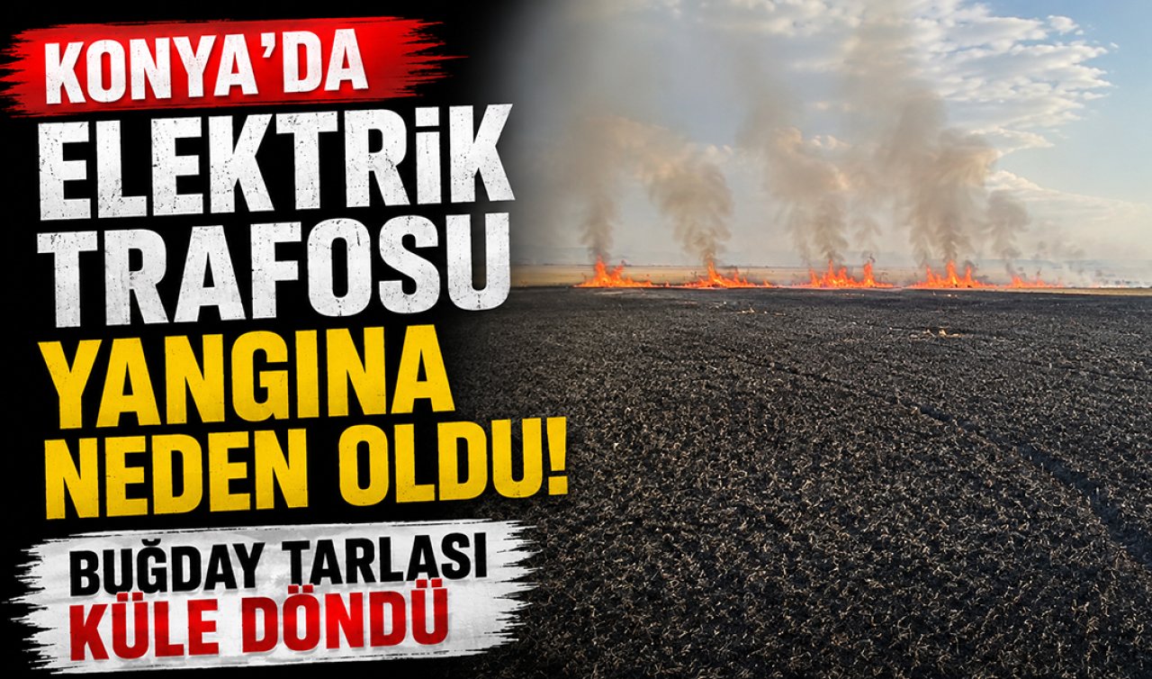 Konya’da elektrik trafosu yangına neden oldu! Buğday tarlası küle döndü