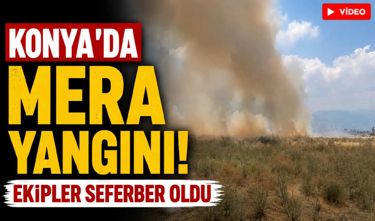 Konya’da mera yangını! Ekipler seferber oldu